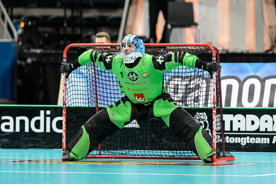 WFC 2014 - Švédsko vs Švýcarsko - 10:1