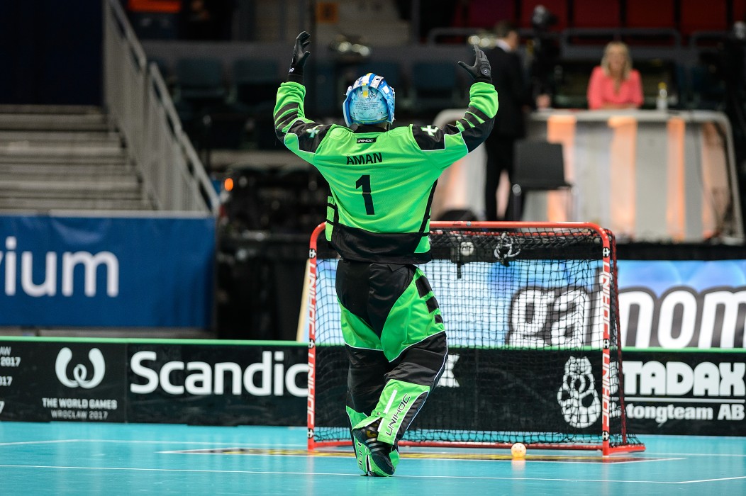 WFC 2014 - Švédsko vs Švýcarsko - 10:1