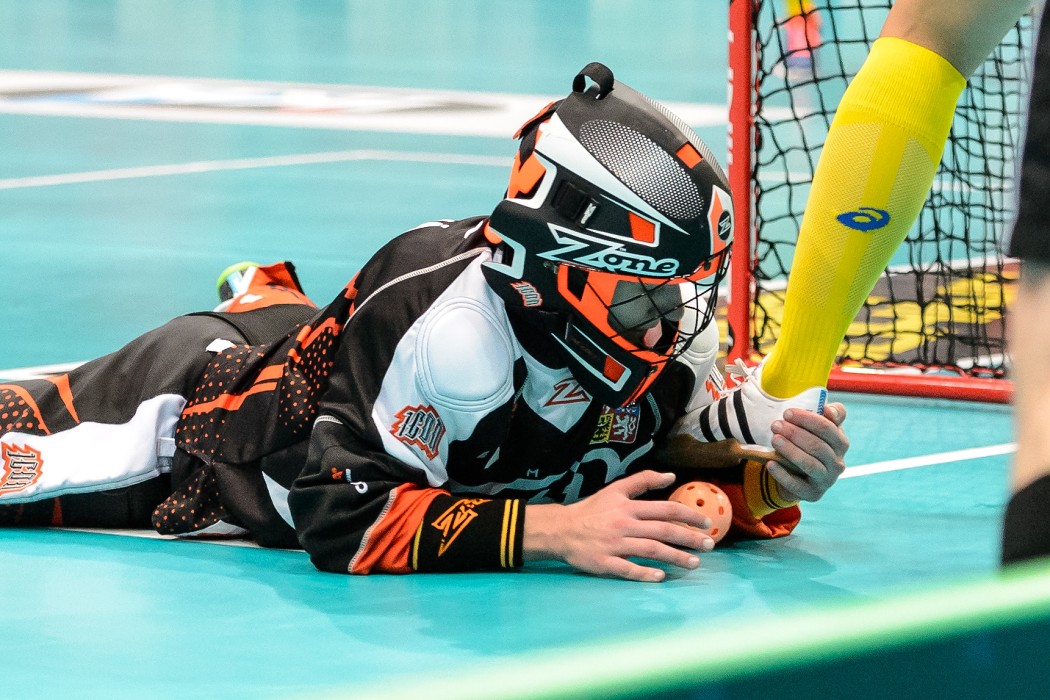 WFC 2015 - Sweden vs Czech Republic - 17:2