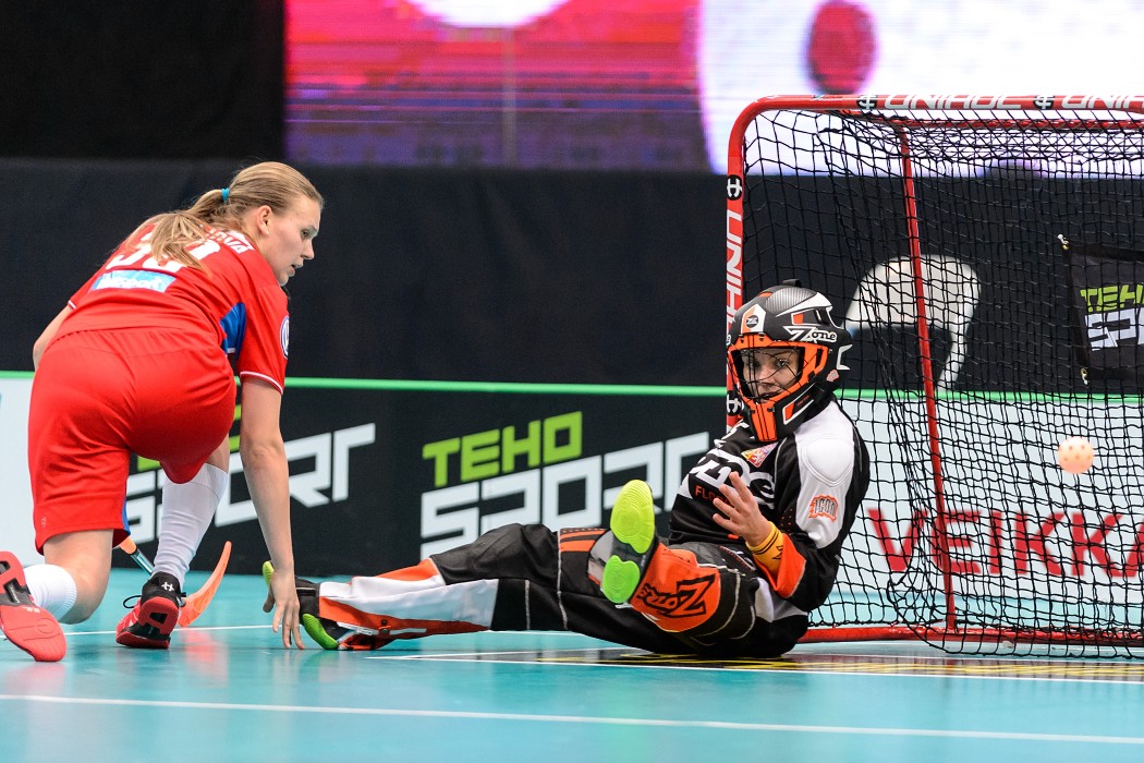 WFC 2015 - Sweden vs Czech Republic - 17:2