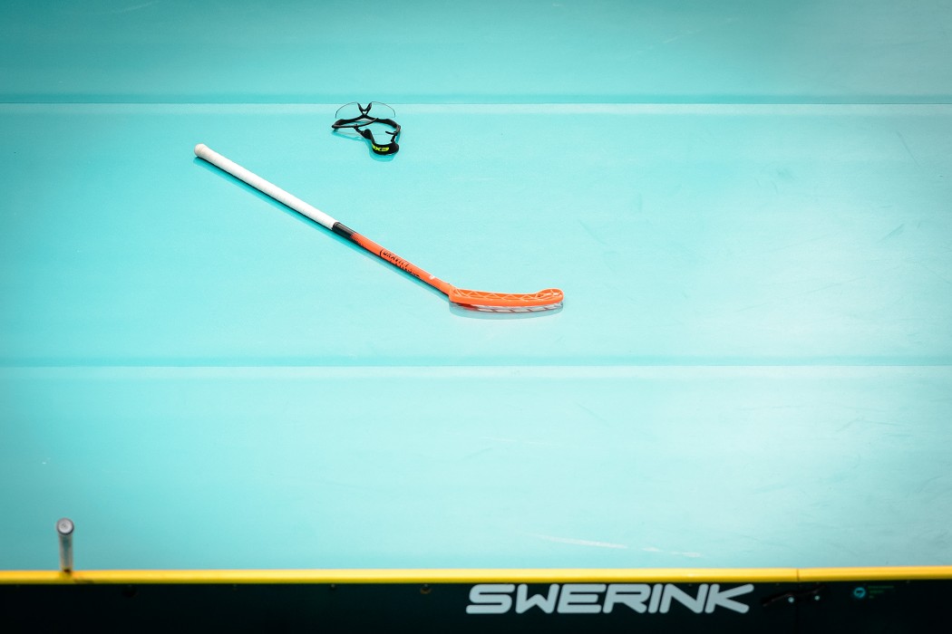 WFC 2015 - Sweden vs Czech Republic - 17:2