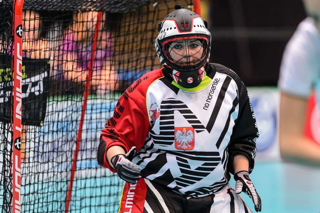 WFC 2015 - Poland vs Russia - 4:1