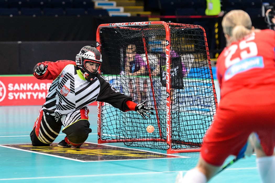 WFC 2015 - Czech Republic vs Poland - 8:2