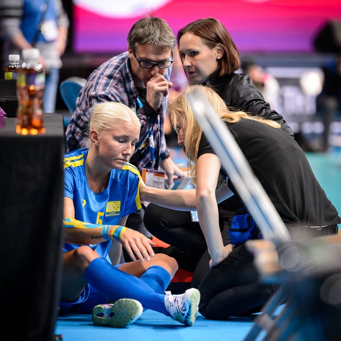 WFC 2015 - Sweden vs Finland - 5:4
