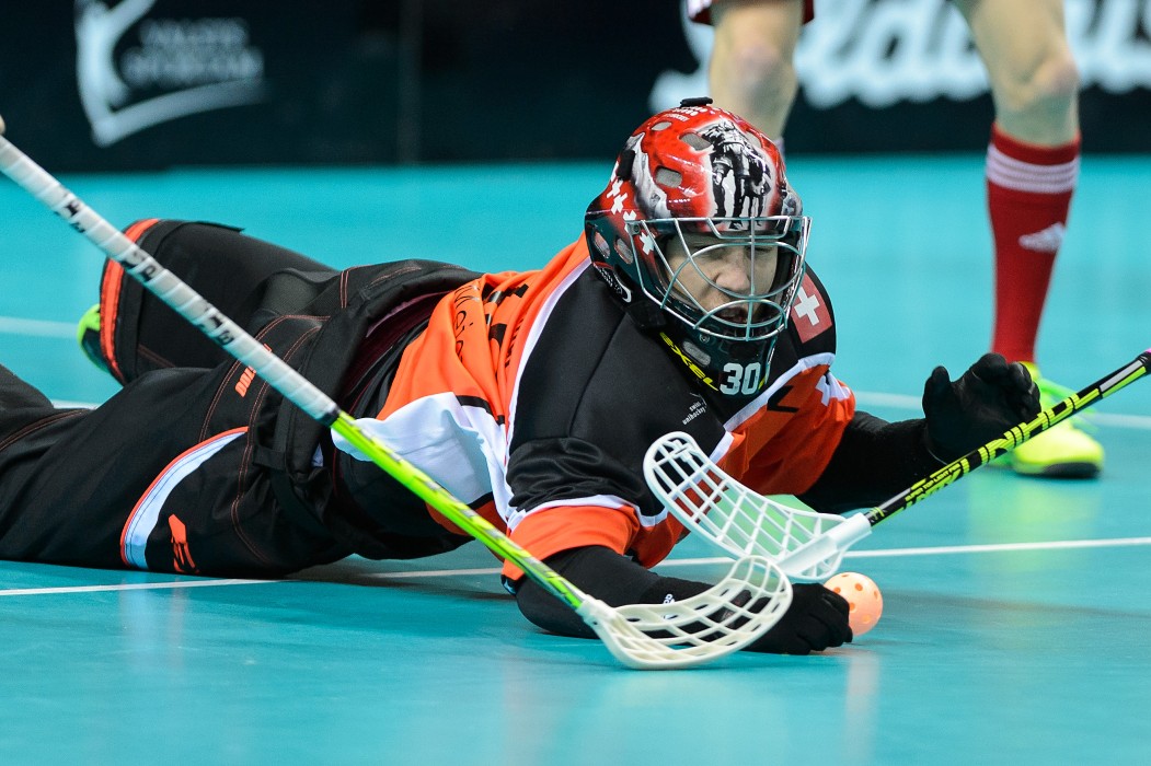 2016/12/06 - Švýcarsko vs Německo