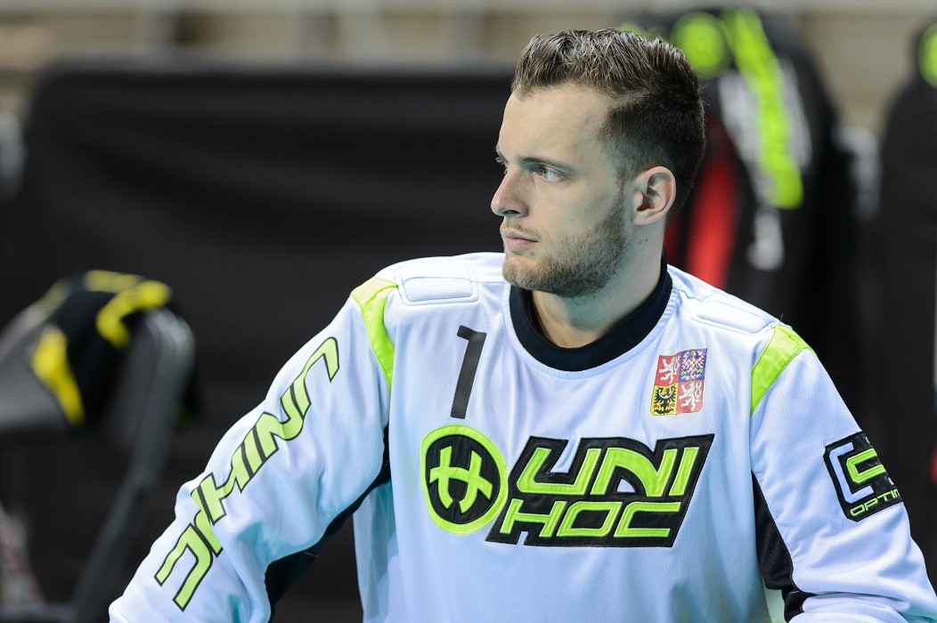 MS 2016 - Švédsko x Česko