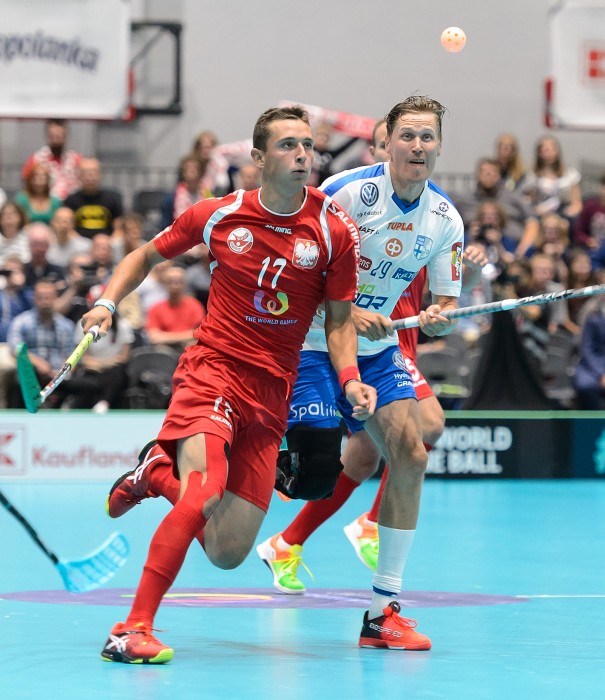 TWG 2017 - Polsko x Finsko