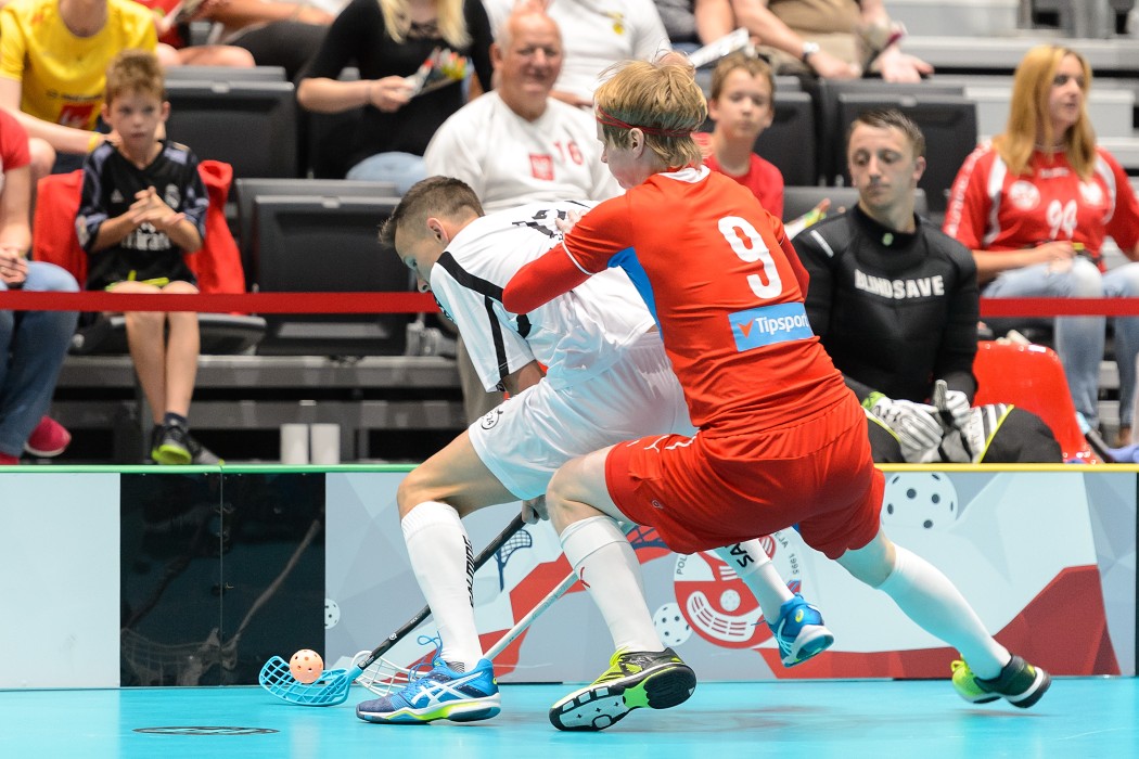 TWG 2017 - Česko x Polsko