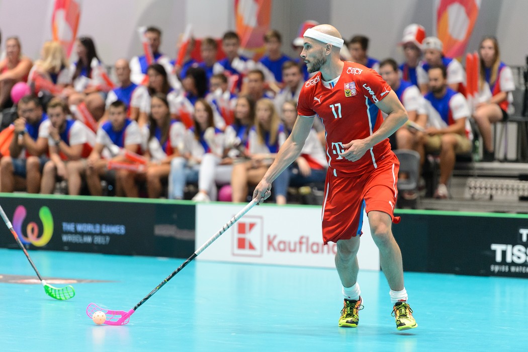 TWG 2017 - Švédsko x Česko