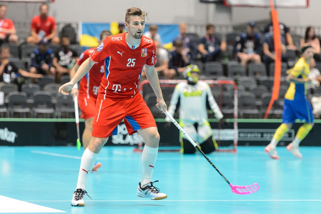 TWG 2017 - Švédsko x Česko