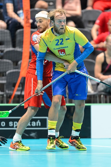 TWG 2017 - Švédsko x Česko