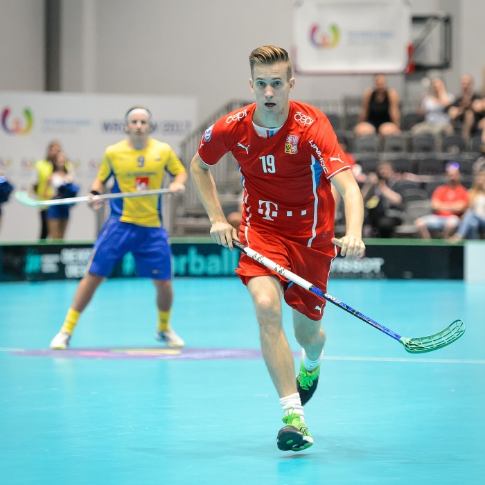 TWG 2017 - Švédsko x Česko