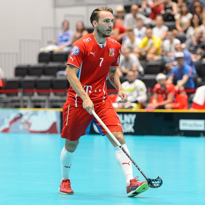 TWG 2017 - Finsko x Česko