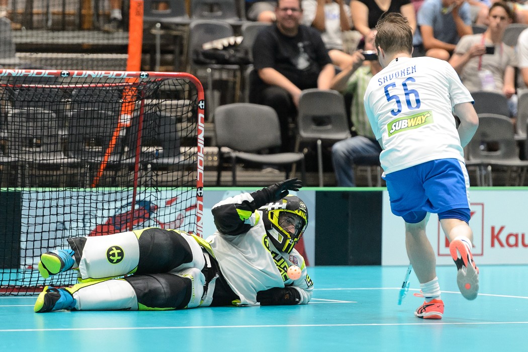 TWG 2017 - Finsko x Česko