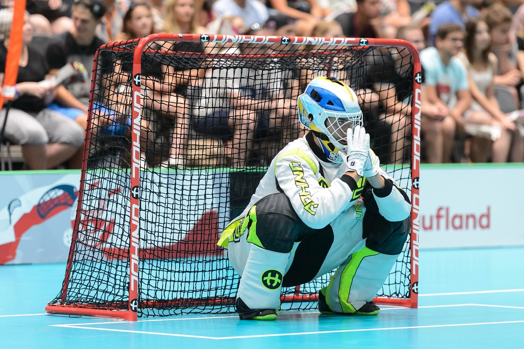 TWG 2017 - Švýcarsko x Švédsko