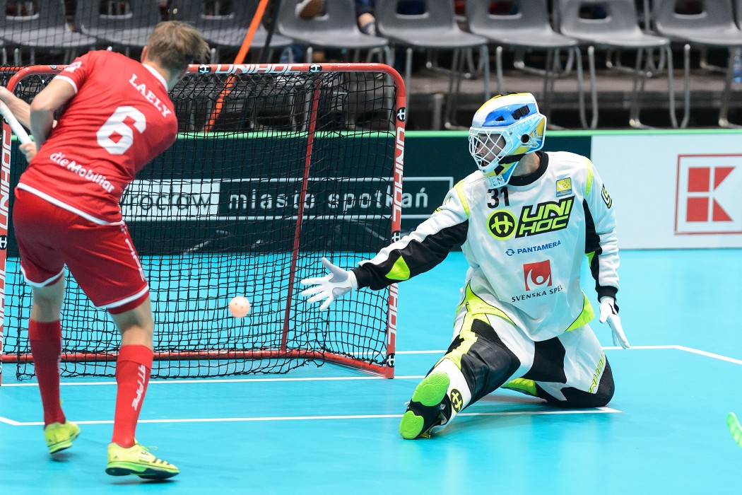 TWG 2017 - Švýcarsko x Švédsko