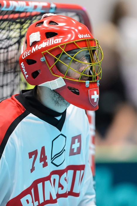 TWG 2017 - Švýcarsko x Švédsko