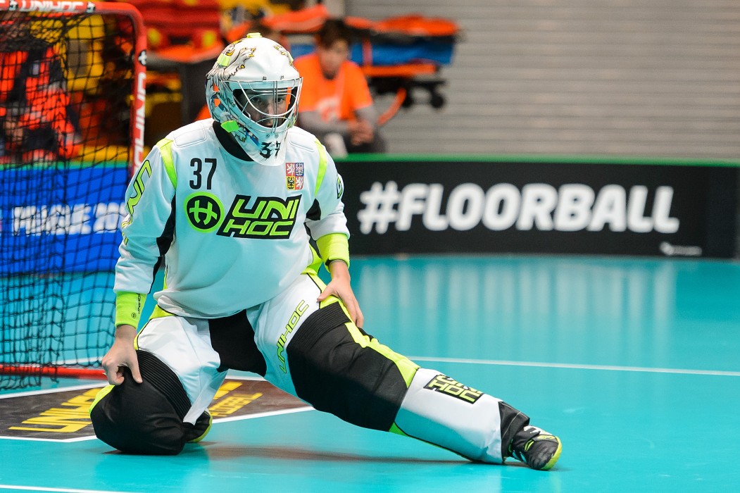 MS 2017 - Finsko x Česko