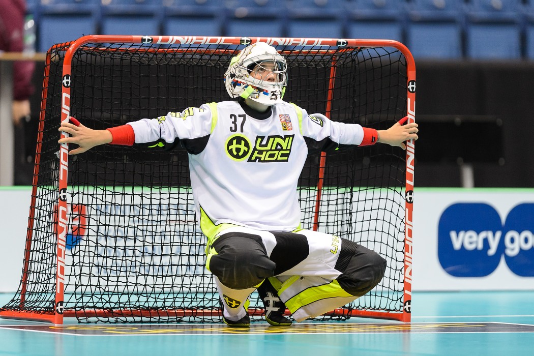 MS 2017 - Česko x Polsko