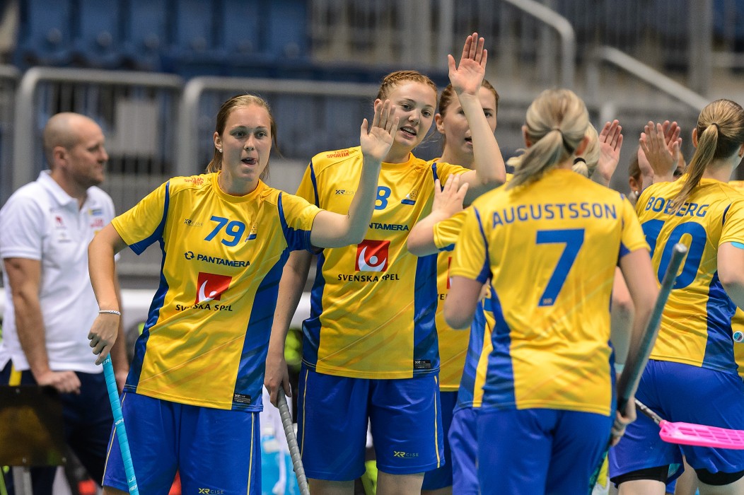 MS 2017 - Švédsko x Česko