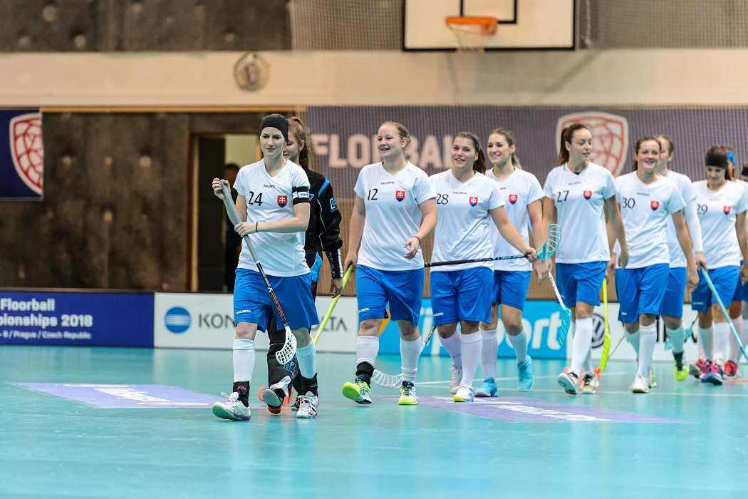 Slovensko vs Německo