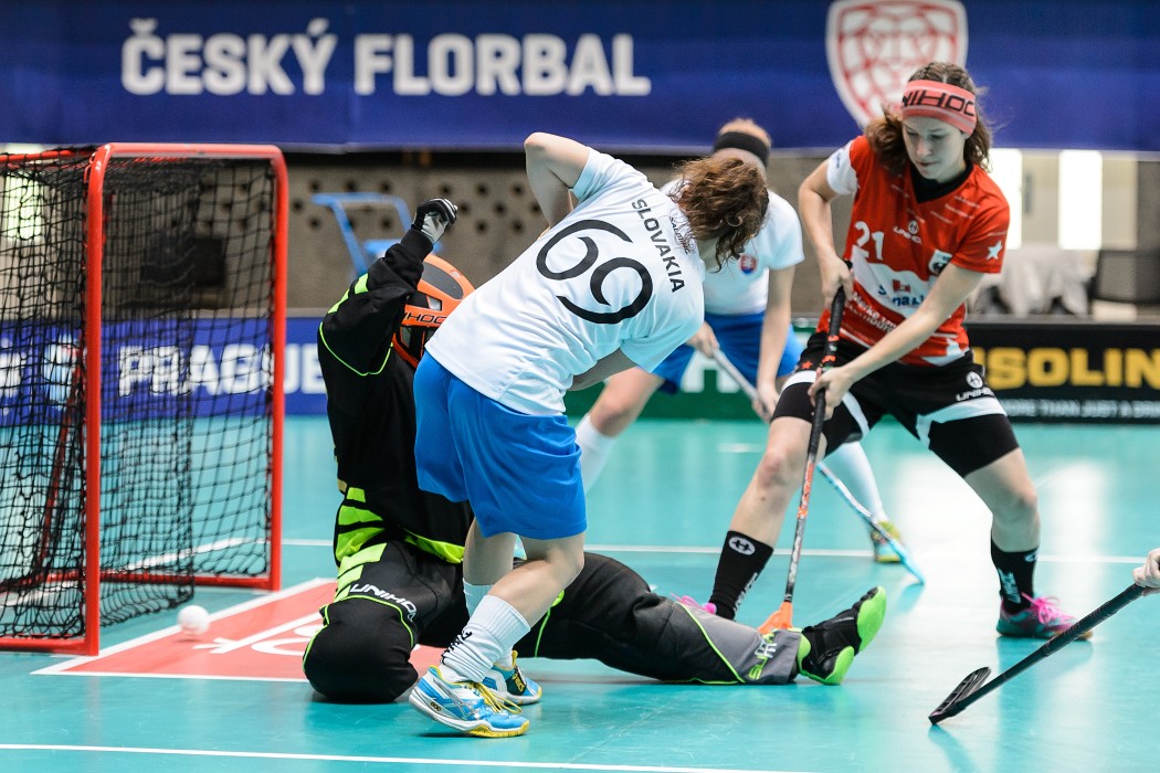 Slovensko vs Německo