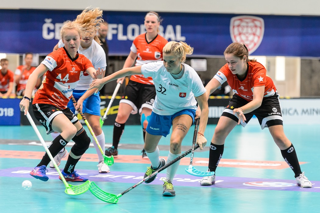 Slovensko vs Německo