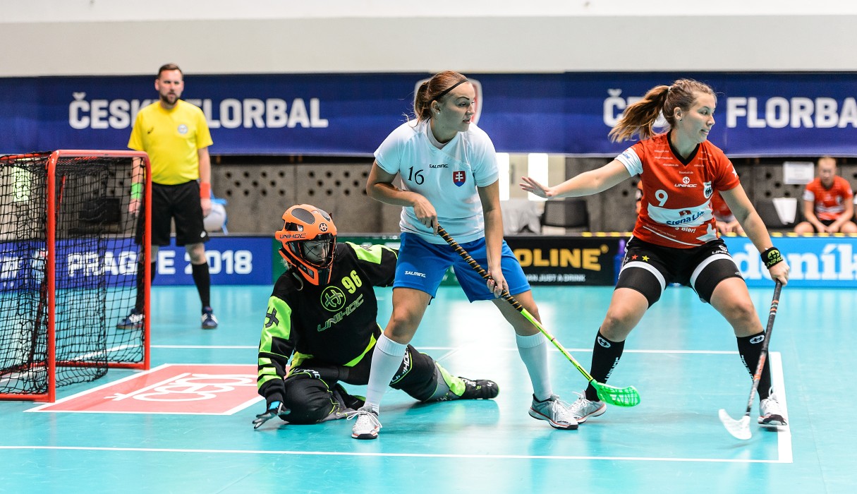 Slovensko vs Německo