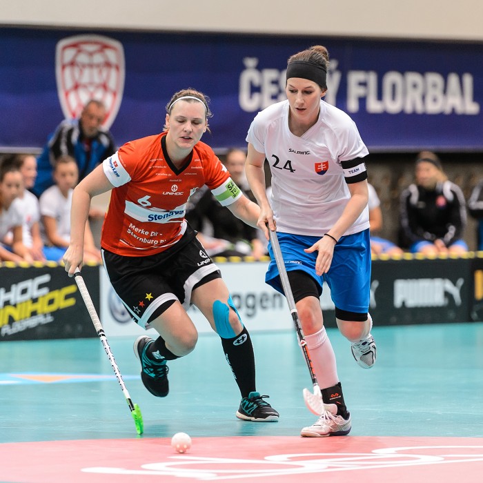 Slovensko vs Německo