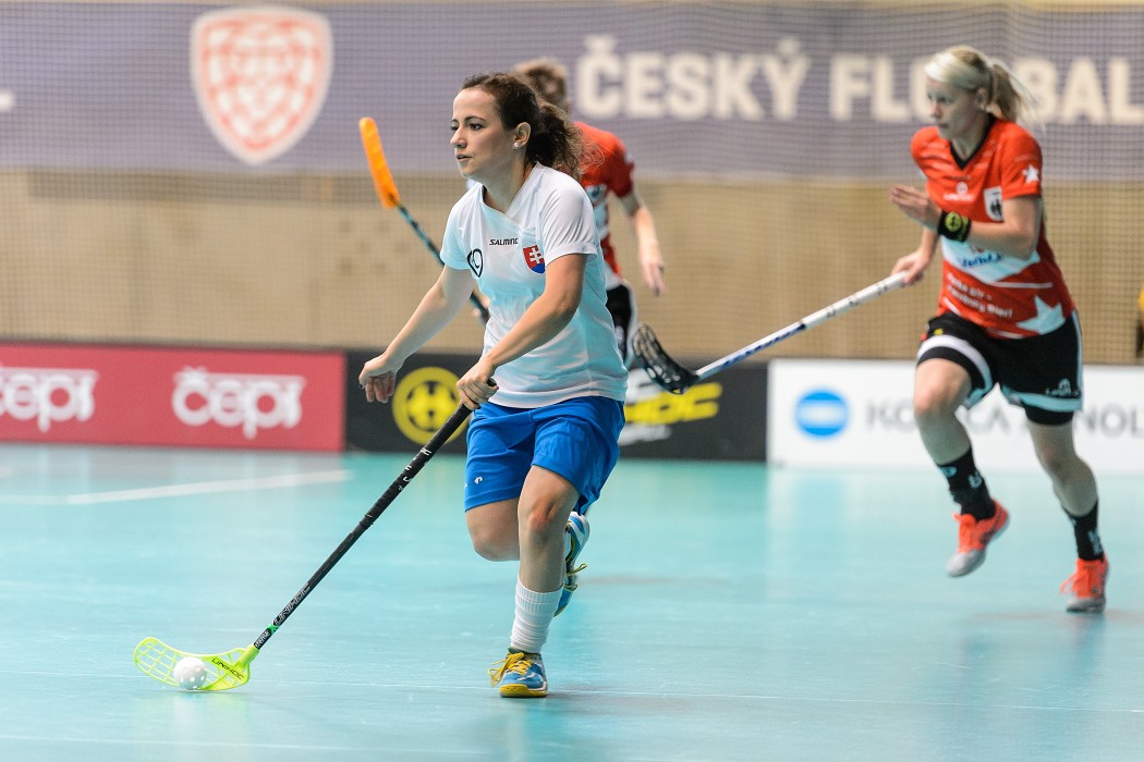 Slovensko vs Německo