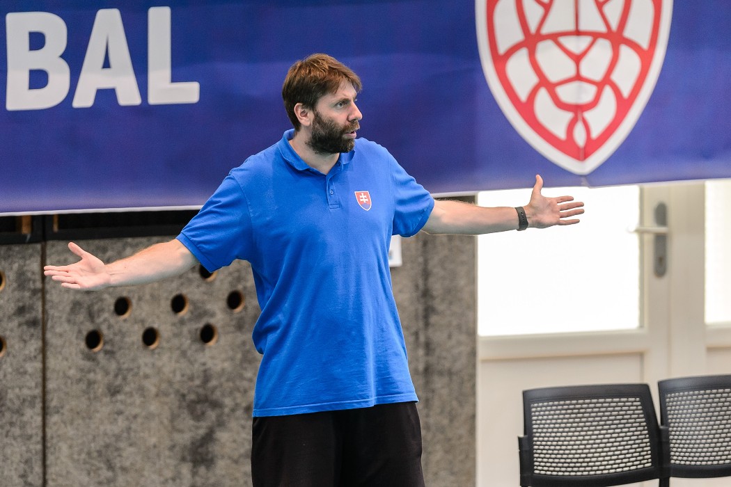 Slovensko vs Německo