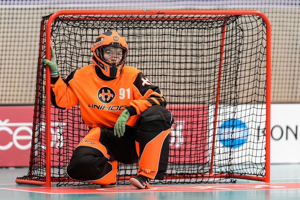 Slovensko vs Německo