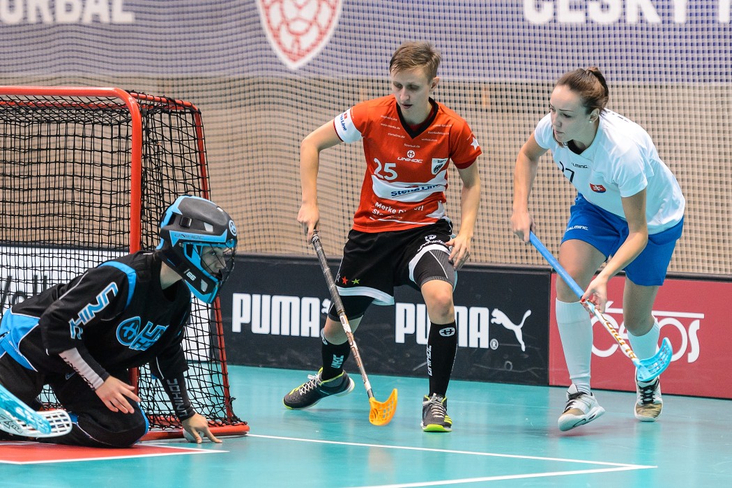 Slovensko vs Německo