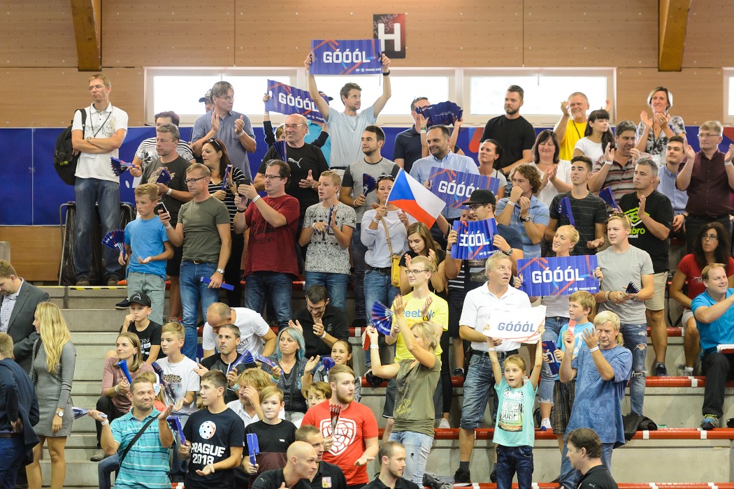 Česko vs Švýcarsko