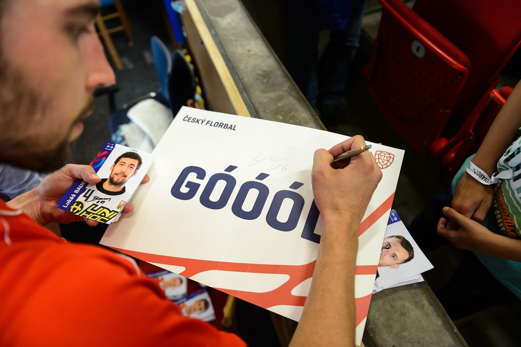 Česko vs Švýcarsko