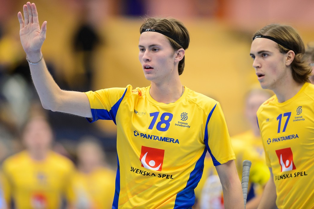 EFT 2018 - Švédsko U19 x Česko U19