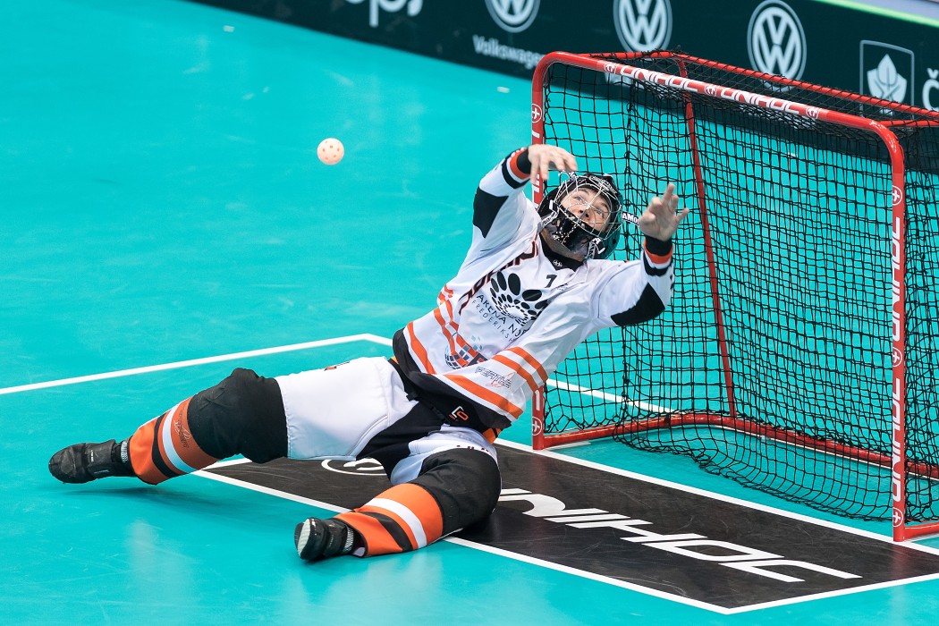 WFC 2018 - Denmark v Norway