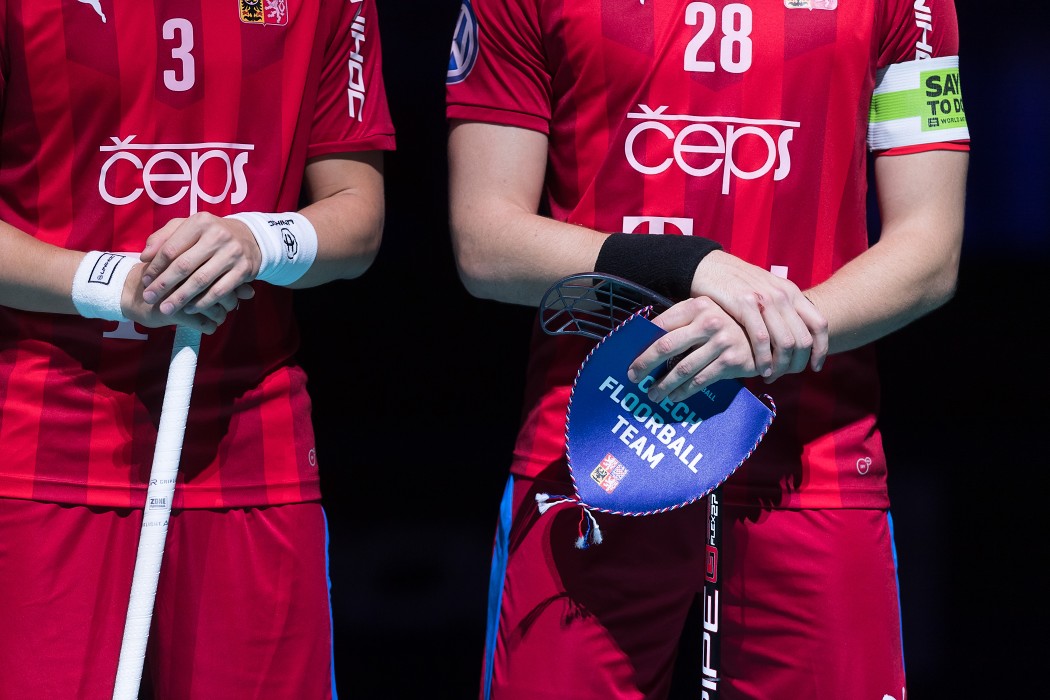 WFC 2018 - Czech Republic v Denmark