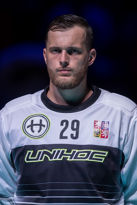 WFC 2018 - Czech Republic v Denmark