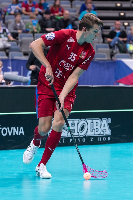 WFC 2018 - Czech Republic v Denmark