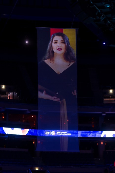 WFC 2018 - Denmark v Germany