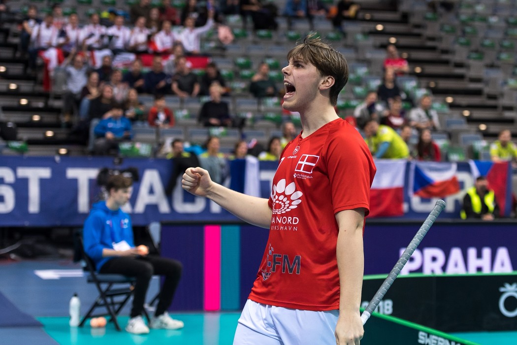 WFC 2018 - Denmark v Germany