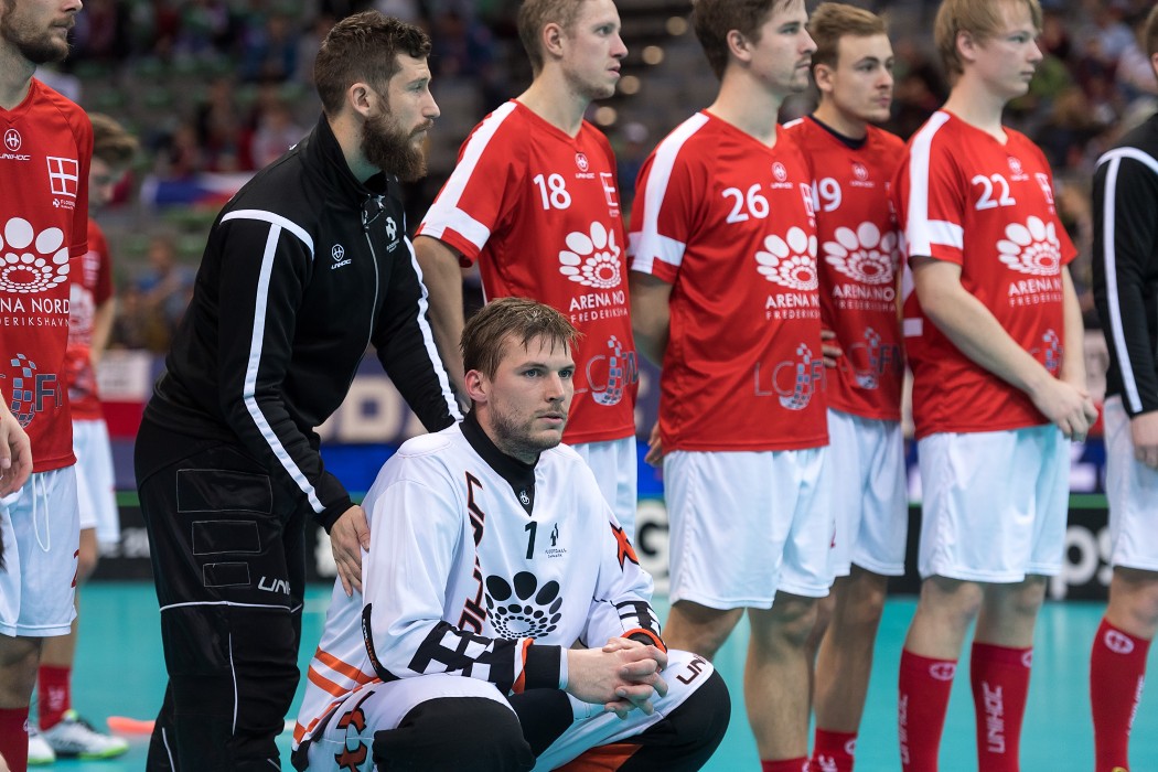 WFC 2018 - Denmark v Germany