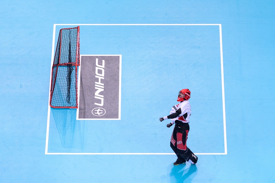 WFC 2018 - Sweden v Switzerland