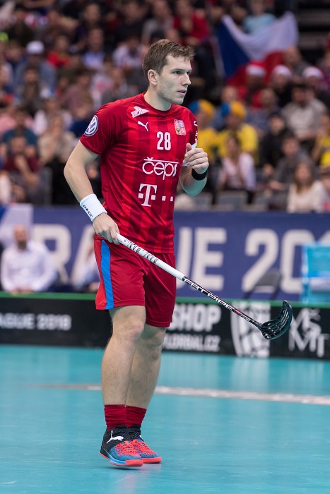 WFC 2018 - Czech Republic v Switzerland