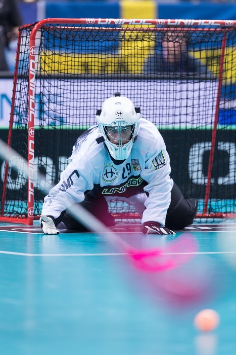 WFC 2018 - Czech Republic v Switzerland