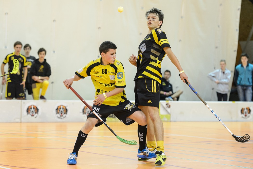 Salming Nisaopen 2014