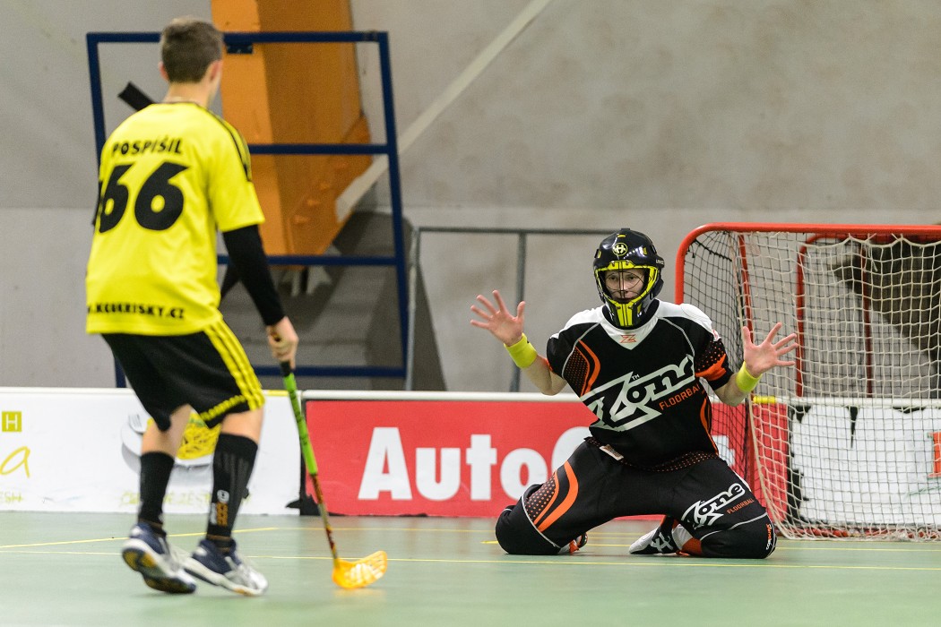 Salming Nisaopen 2015